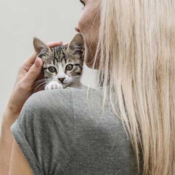 Pavimento conductivo ESD para sala técnica en España